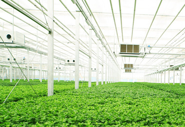 Remote greenhouse monitoring system​