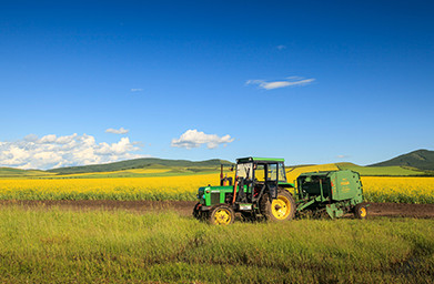 Smart Agriculture
